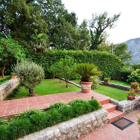 Djardin Apartment Kotor Bagian luar foto