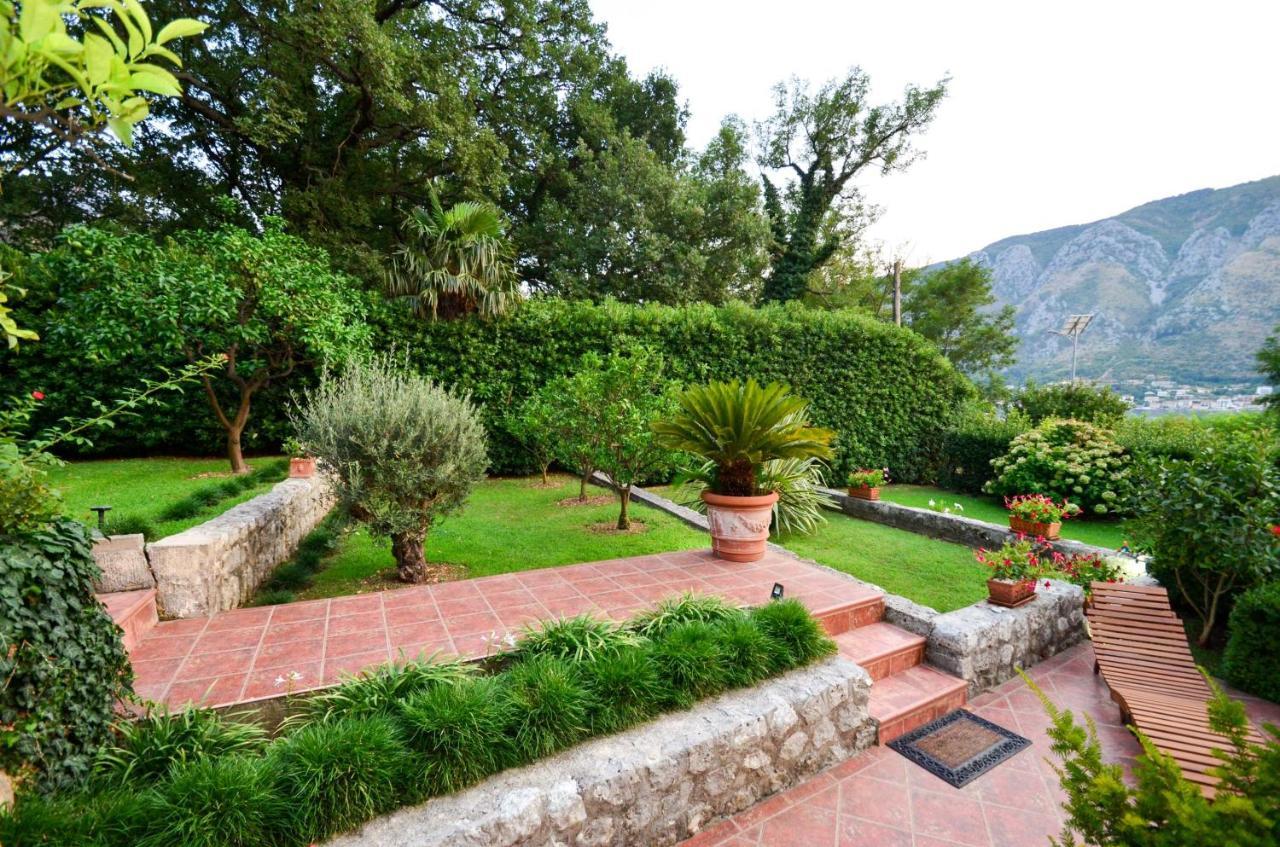 Djardin Apartment Kotor Bagian luar foto